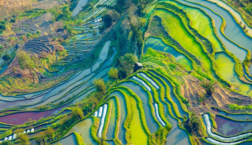 宝妈必备神器：苍梧县产品视频拍摄轻松育儿好帮手