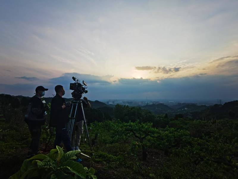 聚焦苍梧县产品宣传视频拍摄公司，用专业实力铸就品牌传播传奇